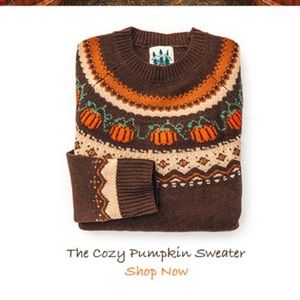 ISO: KJP Cozy Pumpkin Sweater